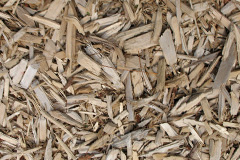 biomass boilers Brierton